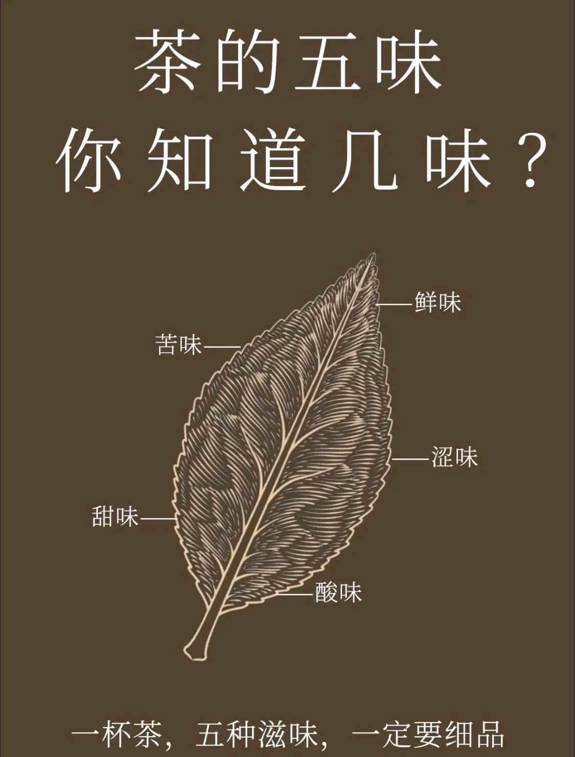 茶有五味，你都知道吗？

