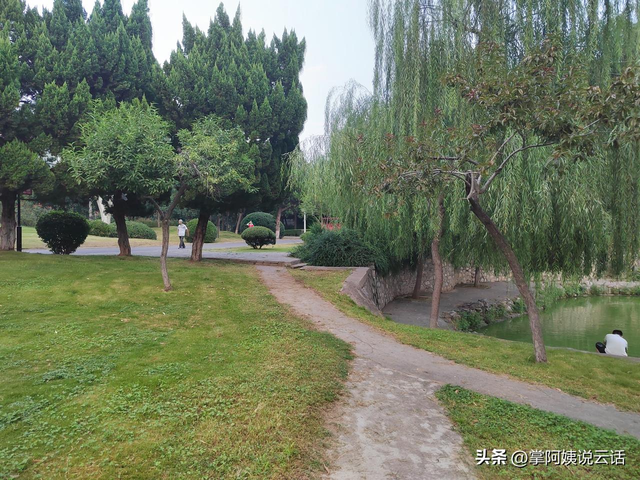就因为退休金低，雷阿姨走了一招险棋。
雷阿姨退休两年了，退休金每月只有1600。