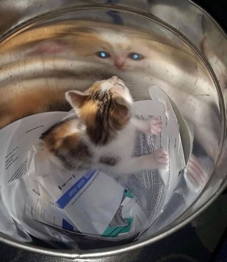 (●′ω`●) ​​​