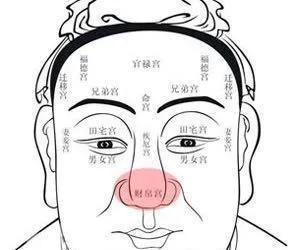 肺有病，鼻先知：8个中成药改善鼻子症状

在中医理论中，鼻子不仅是呼吸的通道，更