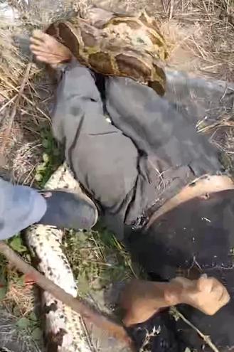 【在印度，一条巨蟒差点要了一名发电厂工人的命。】这名工人在电站偏僻的地方打开一个