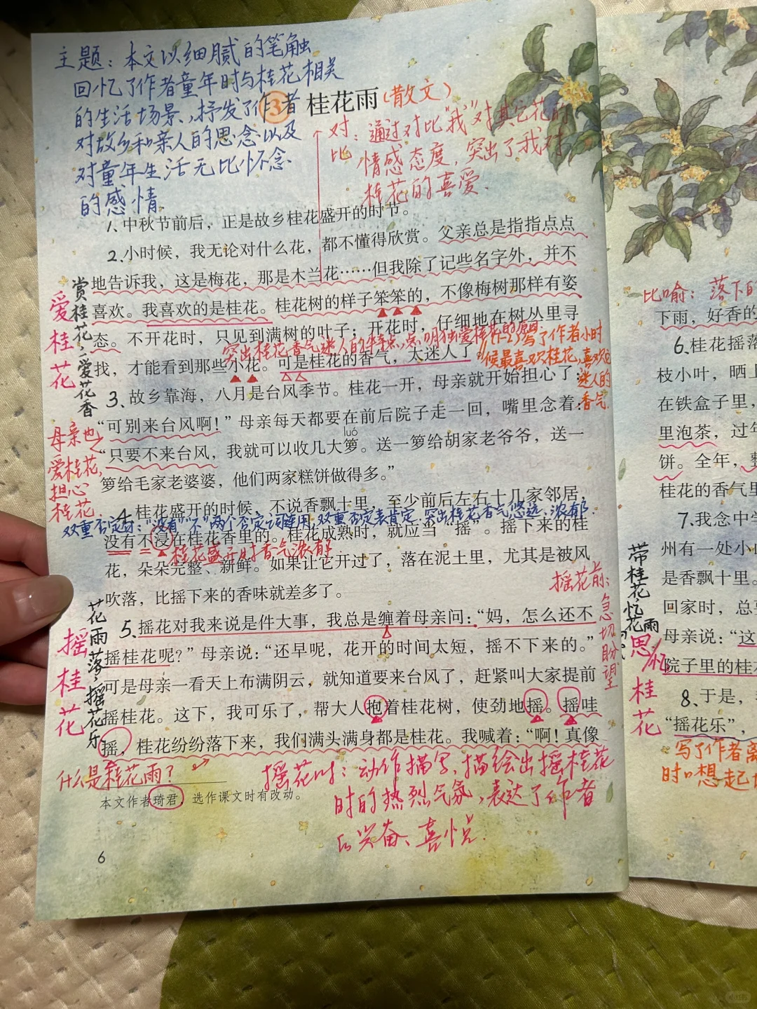 五上语文备课3《桂花雨》