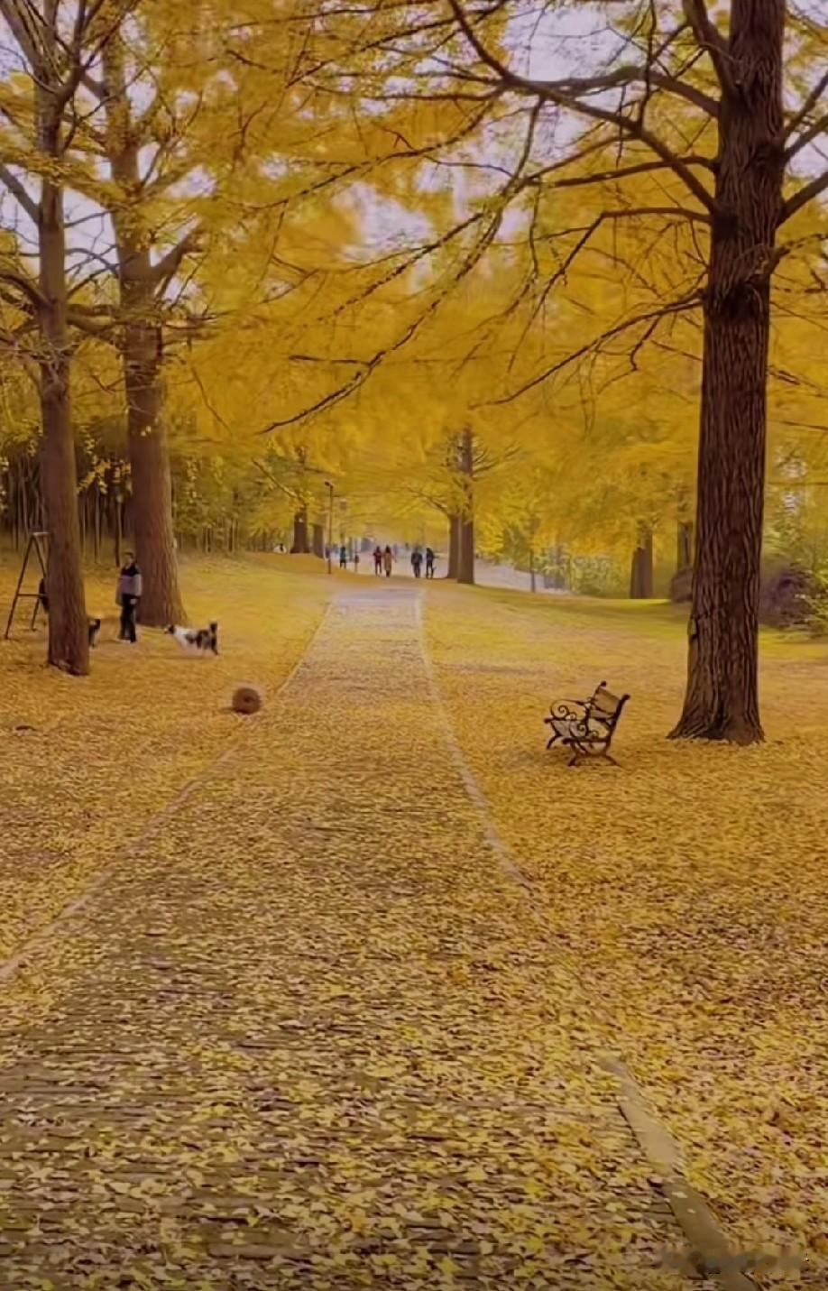 我们总容易陷入两种误区，要么把生活想得太过美好，摔一次便一蹶不振；要么把日子看得