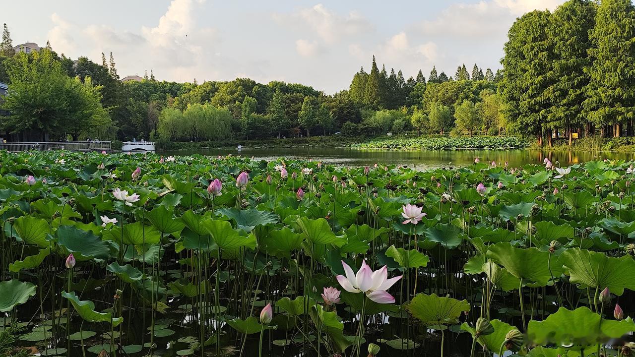 上联：脚丈山河大地，求下联眼观湖海江河