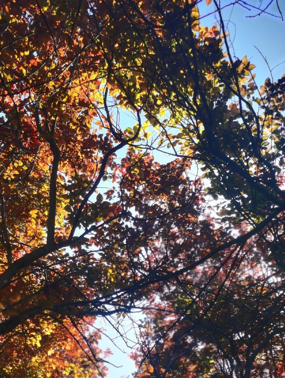 特朗普向媒体表示，战争已经结束。可伊朗并不接招，称战争仍在继续。
难道是伊朗不识