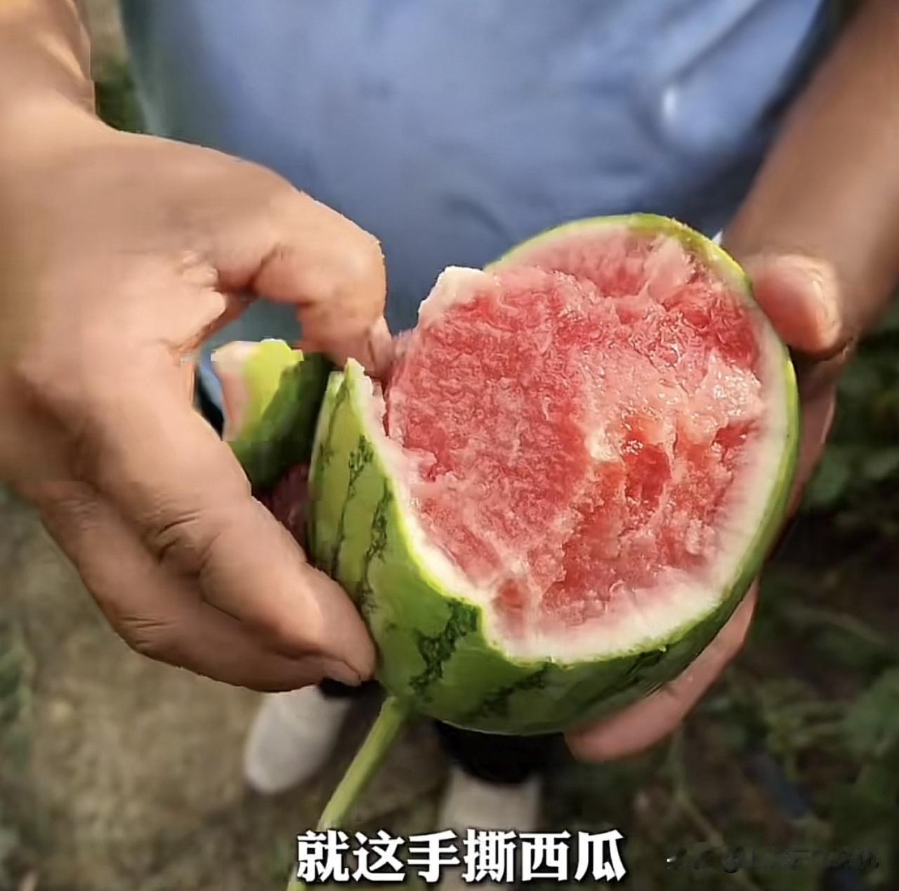 蒲城，大荔，祖辈都是种西瓜，技术不用说，早都跑全国各地种西瓜，去缅甸的也不少，瓜