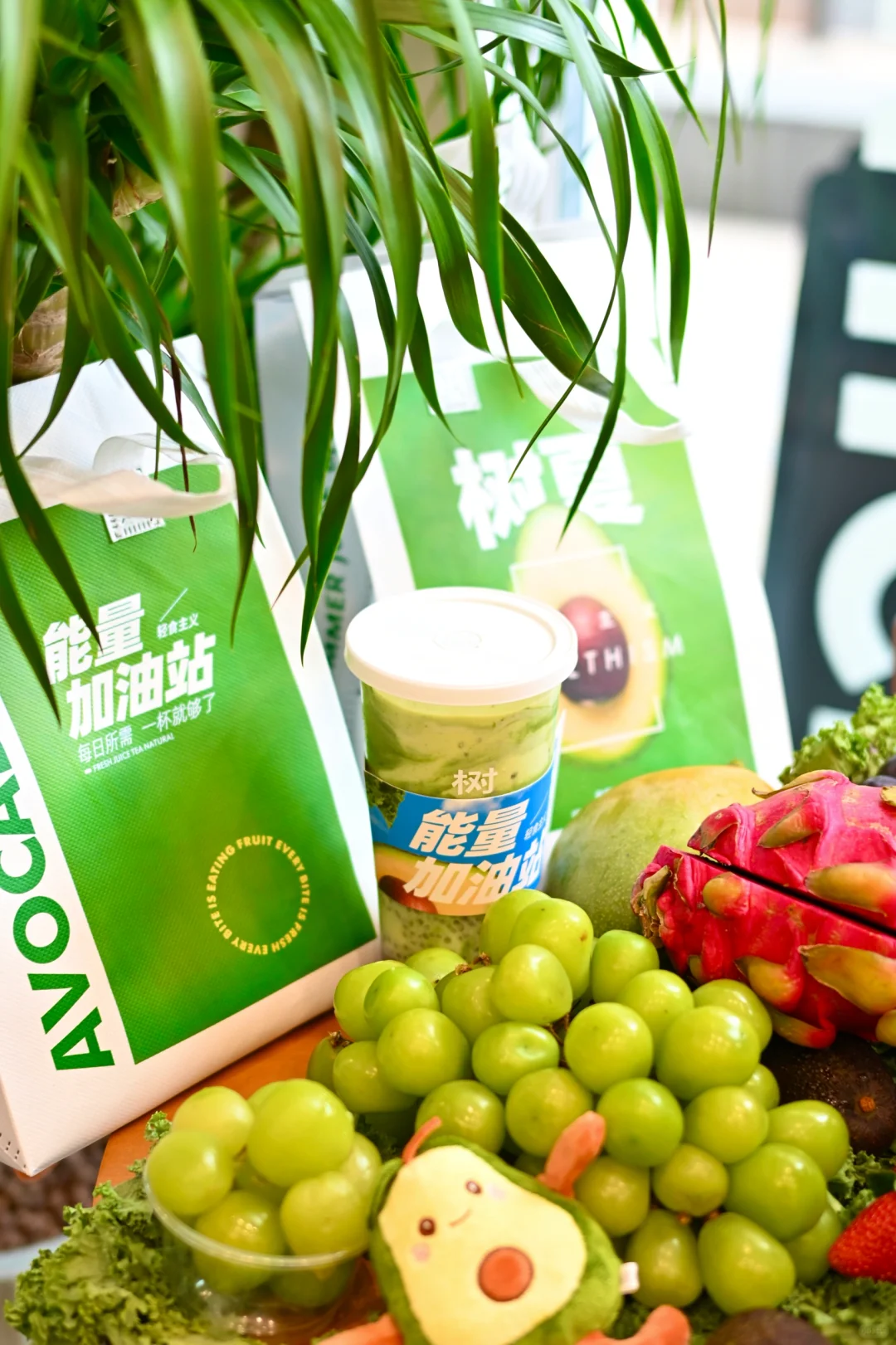 兴义出息了‼️树夏来啦‼️