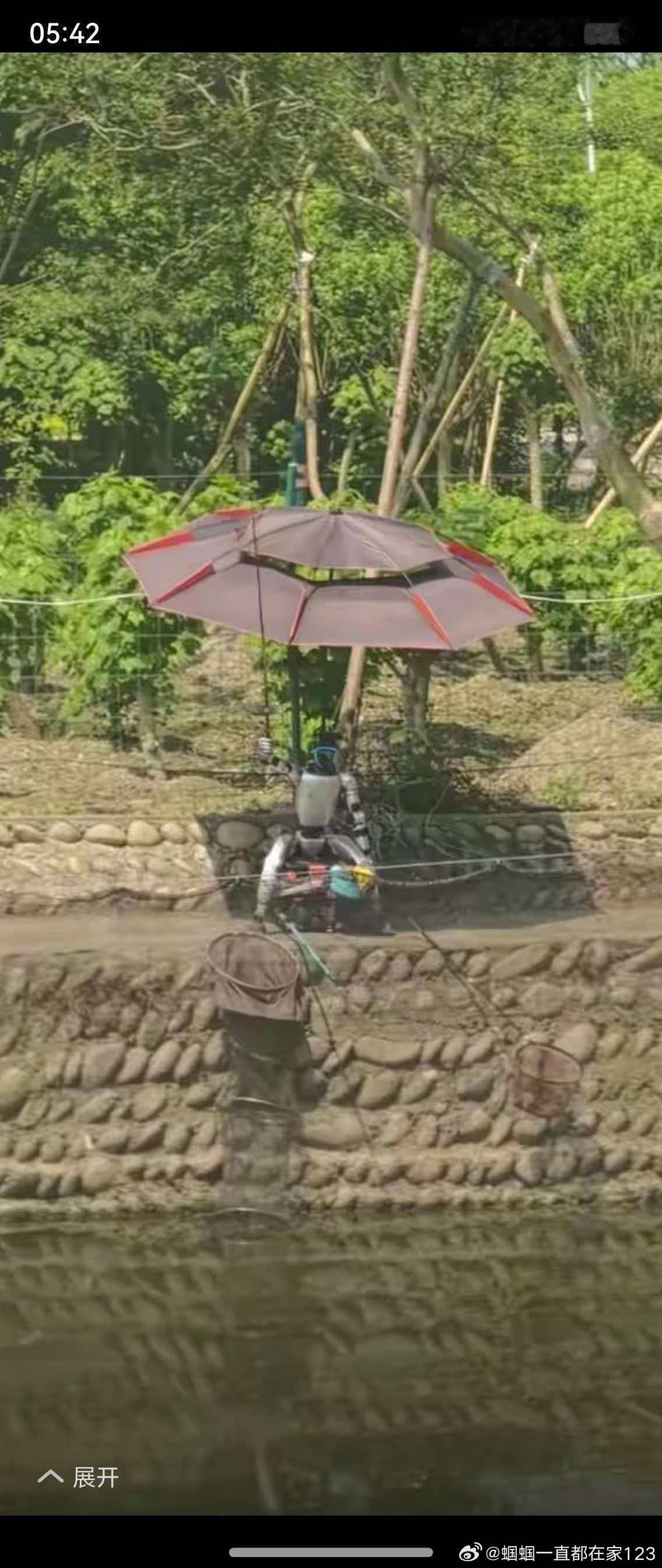 这让钓鱼佬们情何以堪... 