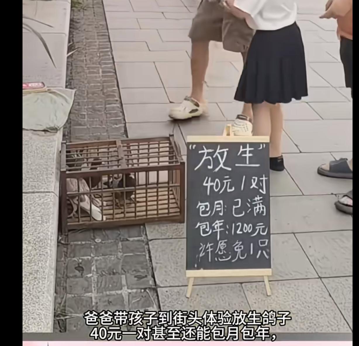 笑死了！街上摆摊放生一对鸽子40元，笼子门一打开，老板的钱包到账了，鸽子也飞回自