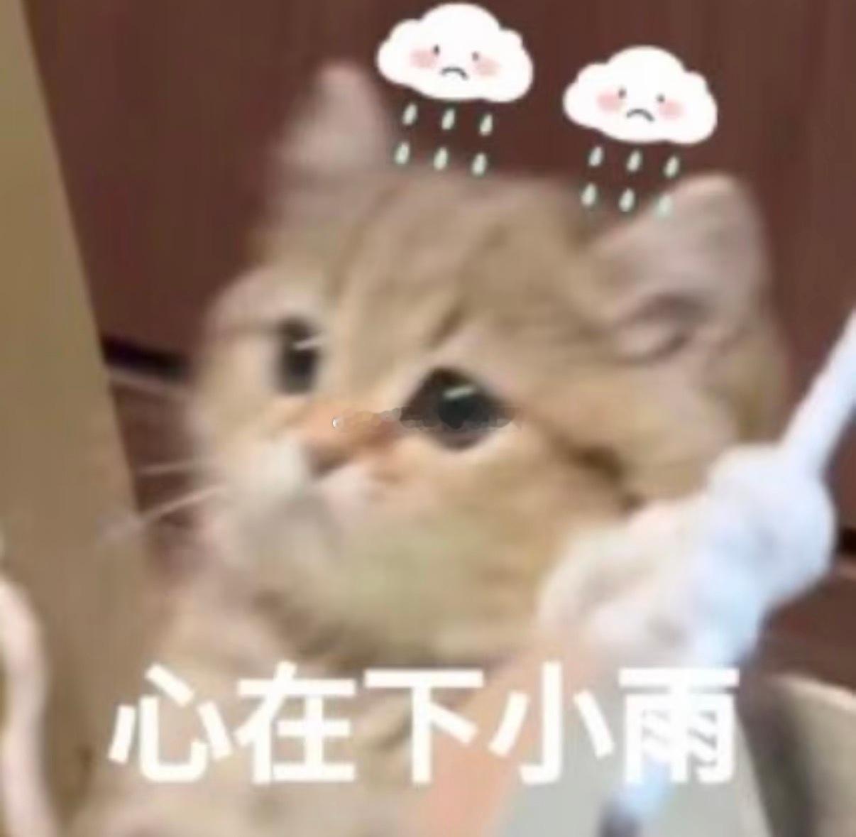 四年的异地恋都过去了即将四天见不着面 咋有点小难受🐵说就当放假各回各家了我：各