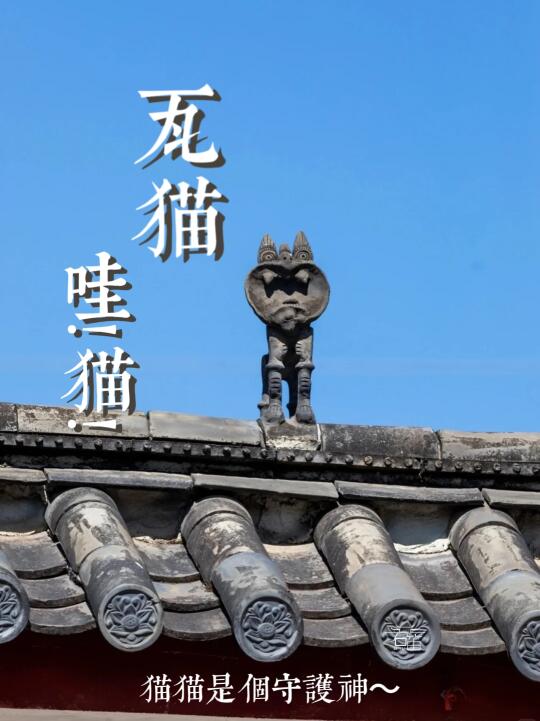 瓦猫  哇!猫! |猫猫是个守护神