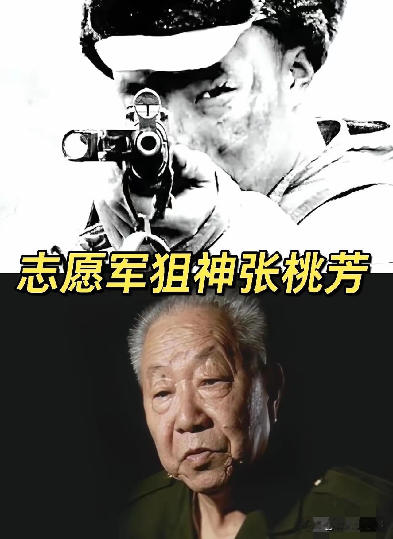 1953年，一位美国顶尖狙击手击中了一名志愿军战士，那人应声倒地，坠入战壕，然而