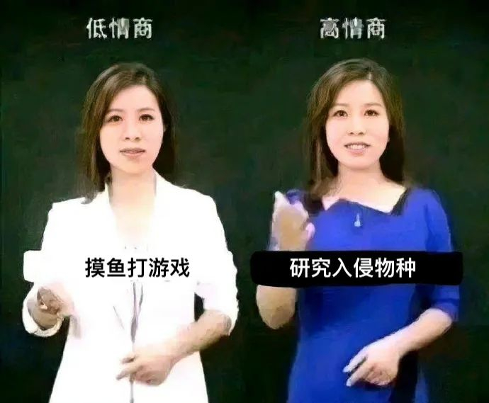 #每天一条冷知识#苦入侵蚂蚁久矣的澳大利亚科学家上班“打游戏”，目的是为了找方法