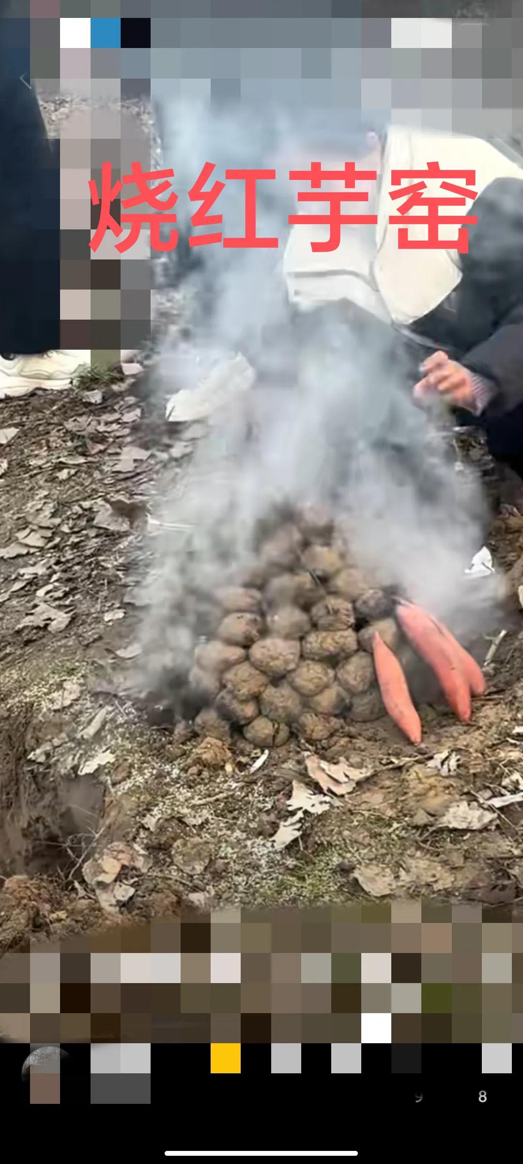 久违了，烧红芋窑！
   小时候，烧红芋窑，是最有趣的事。
   把地里的坷拉，