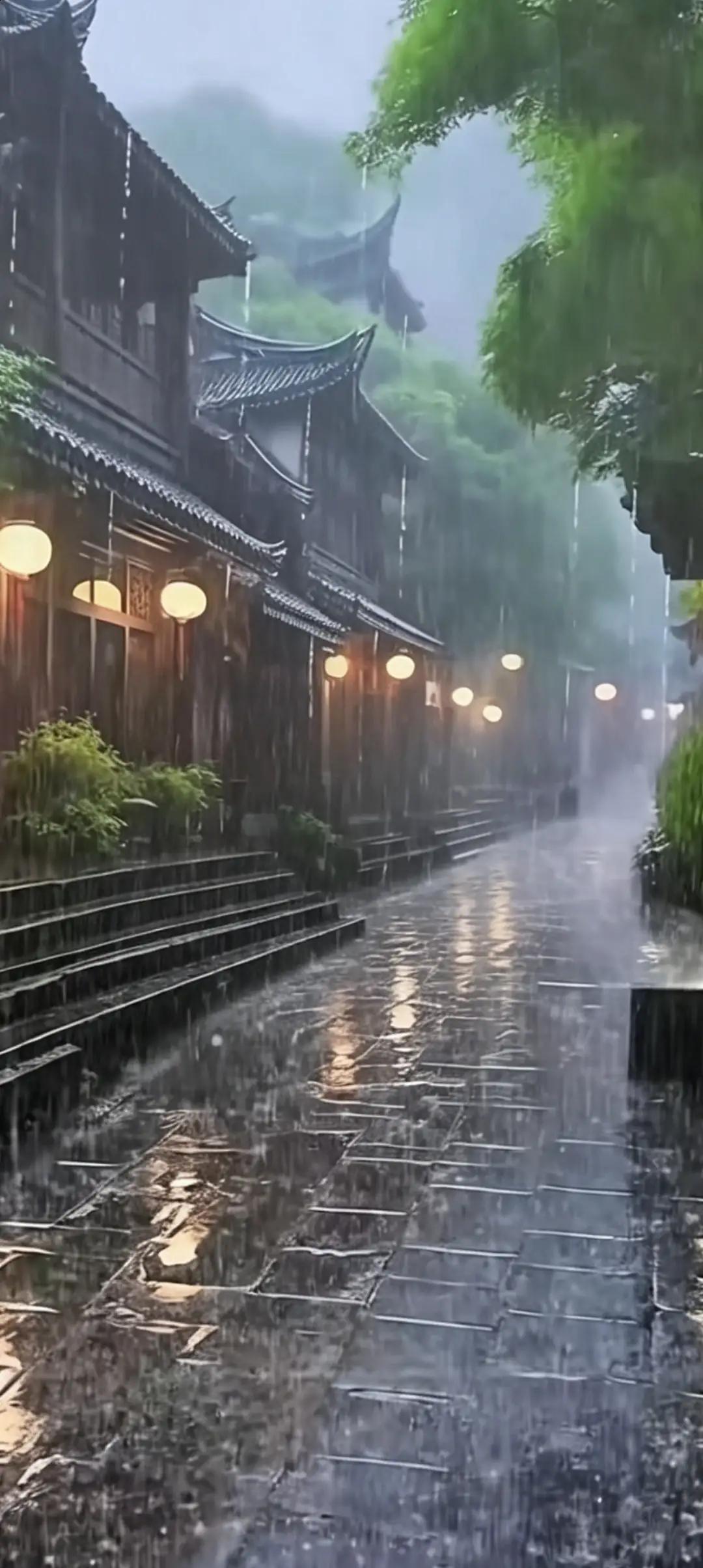 老巷花开香四季，
古街雨后自清新！