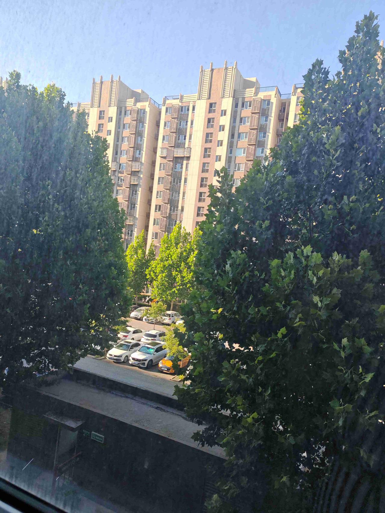 我的今日状态：💪🏻充满干劲
我这里的天气：☀️晴天
新的一天
新的气象
与天