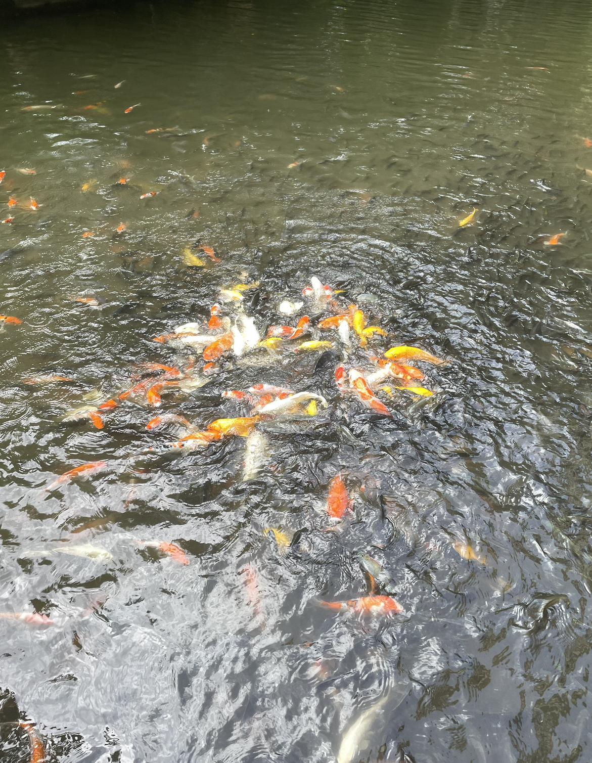 我的今日状态：🥲强颜欢笑
我这里的天气：🌤️多云