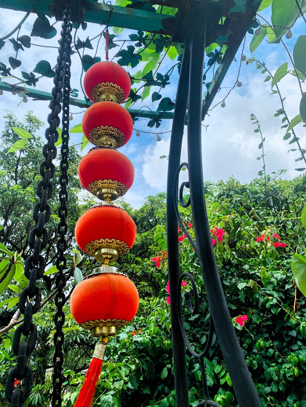 随手一拍，自家小院，阳光明媚，风调雨顺。