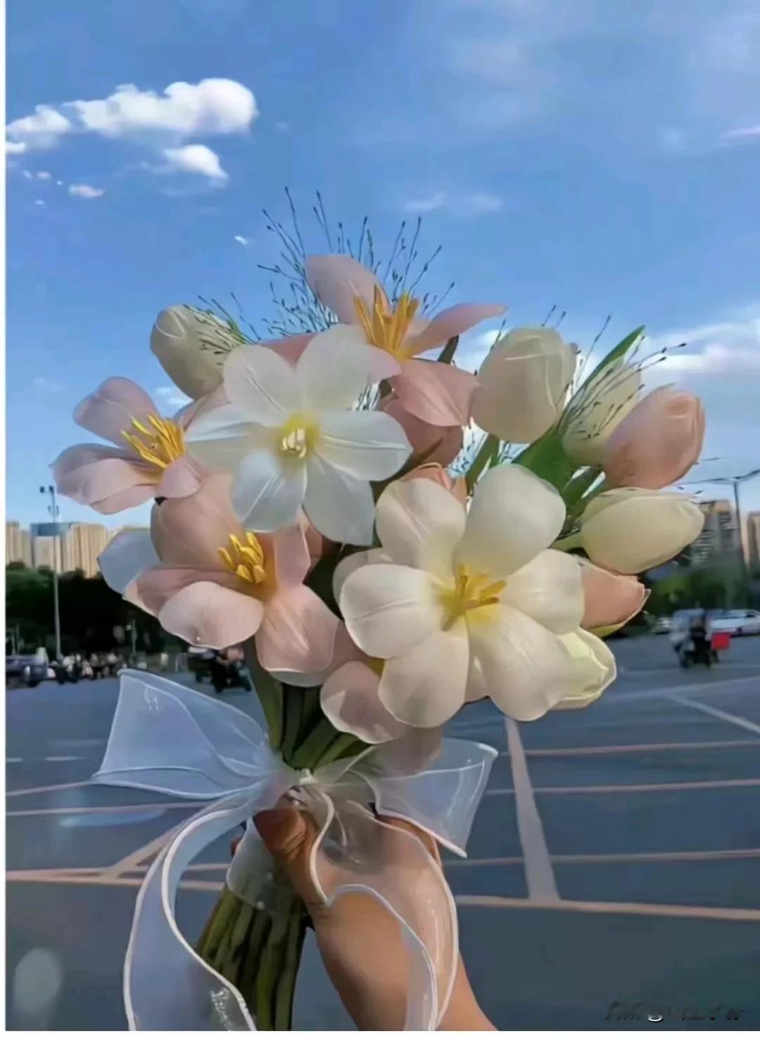 过好每一个日升日落！
突然就被这句话治愈了，人生没有最好的年龄，只有最好的心态，