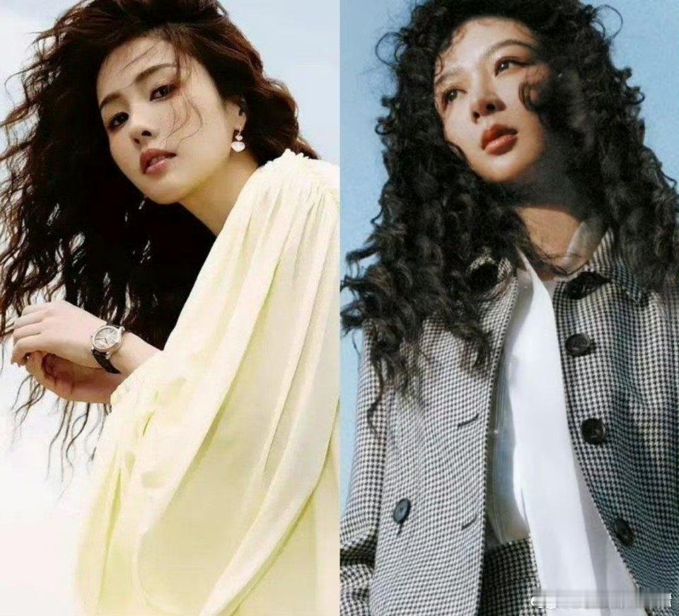 白鹿《唐宫奇案》和杨紫《生命树》要对打了 