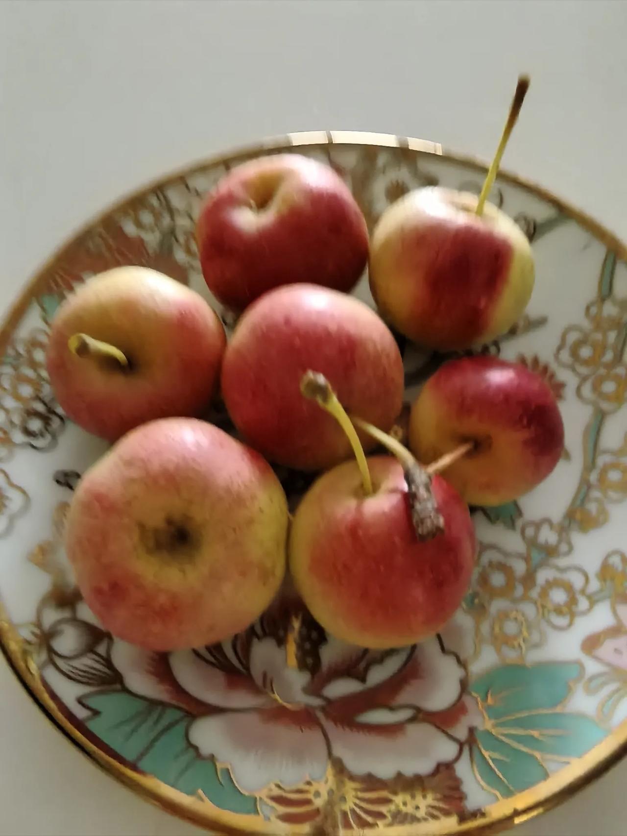 分享一下你随手拍下的照片红润润的果子又脆又甜