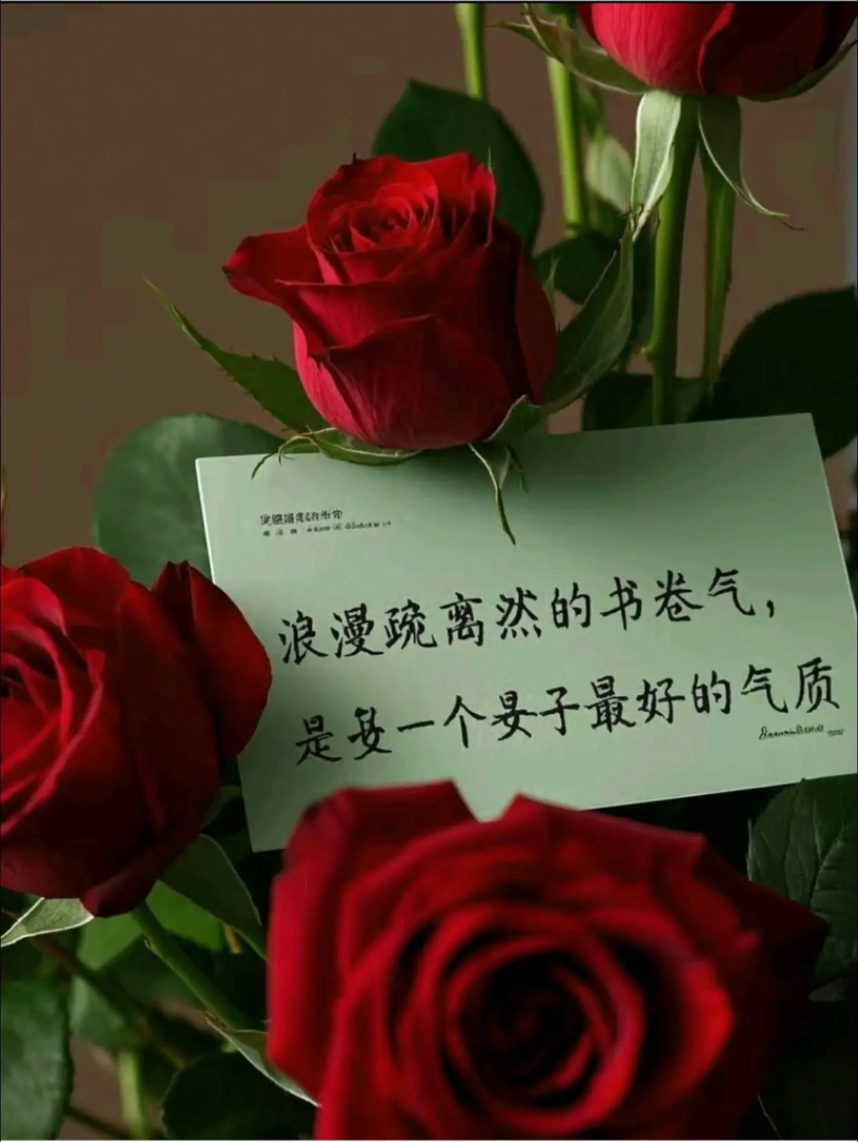 浪漫、疏离、淡然的书卷气，是一个女子最好的气质。