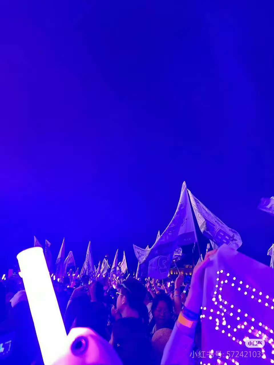 独属于赵露思的紫海可露丽给赵露思的紫海可露丽给赵露思的紫海，太棒了！ ​​​