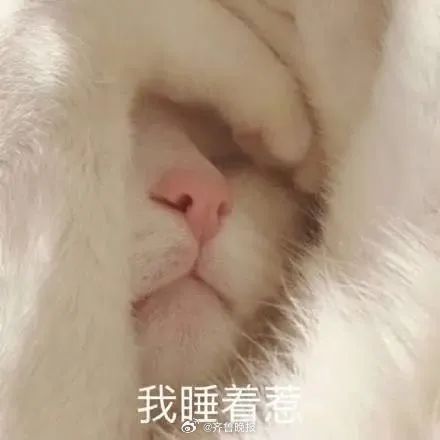 愿你用行动拥抱未来，遇见藏在生活各处的细腻美好[送花花]#晚安# ​ ​​​