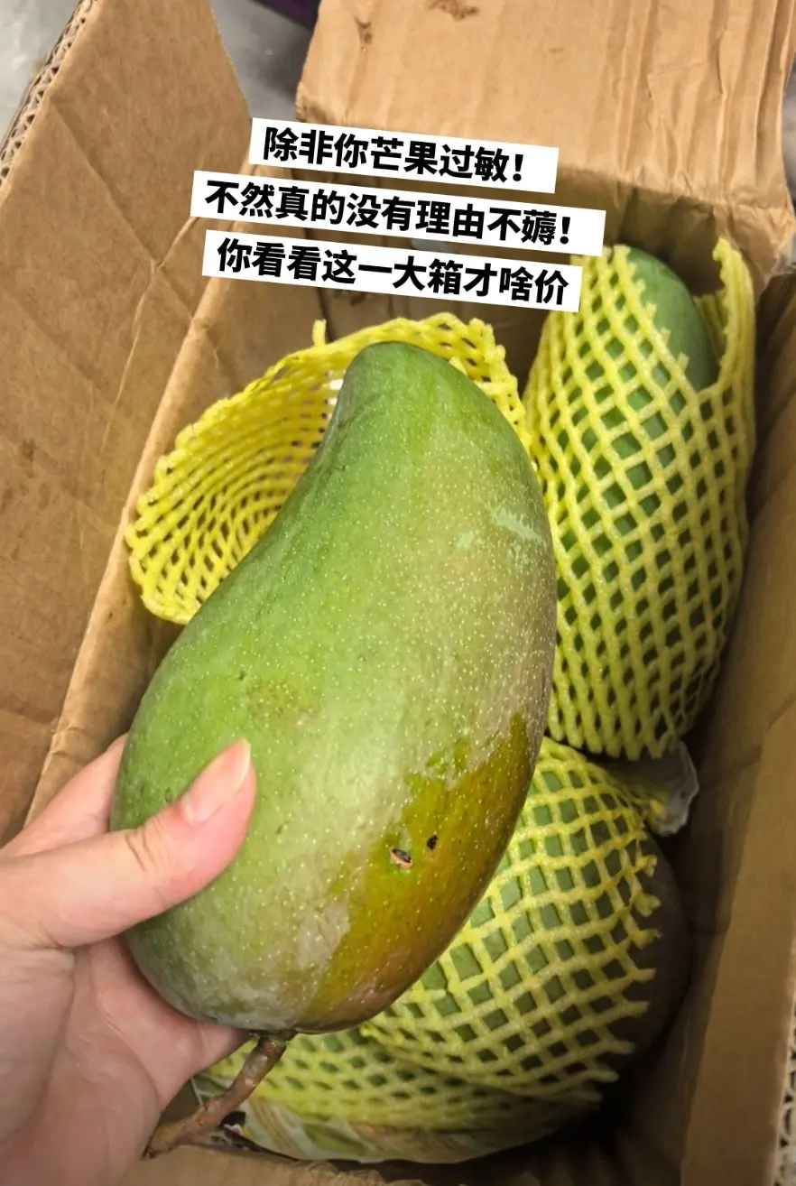 快来薅比脸还大的大青芒啦，好吃到停不下来。
