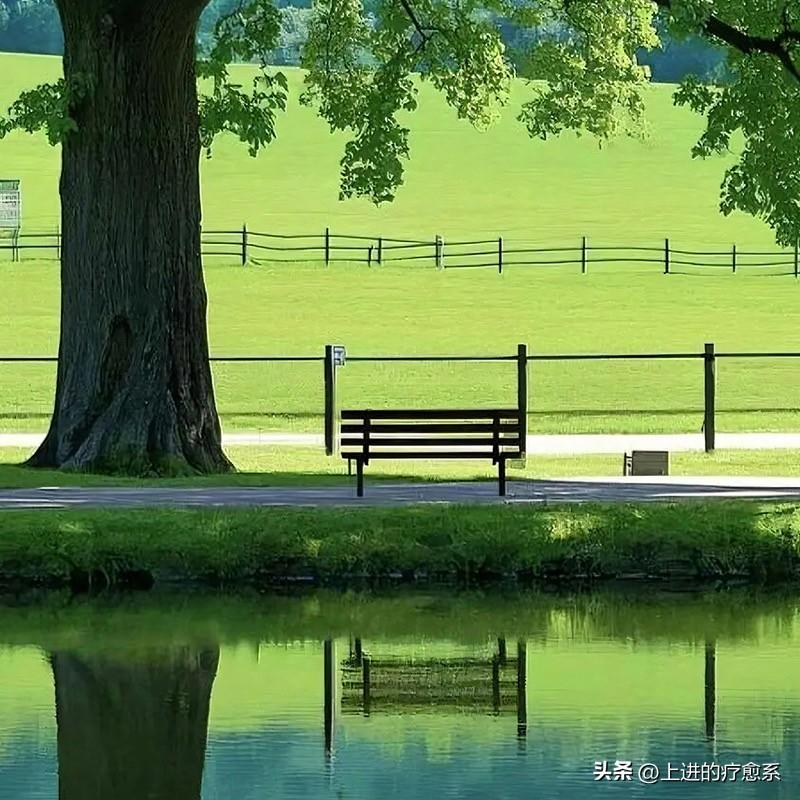 谈很多次恋爱才知道的事

1、事业心强的不会陪你，能陪你的物质上弱。人精力有限，