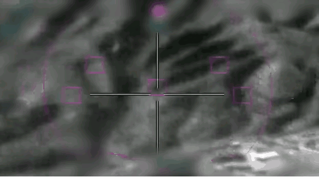 F35首杀雅克130，难度低于5年前猎杀的无人机。
据报道，以色列F35I击落了