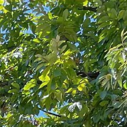 在社会主义建设时期，爱国主义更多的不是表现为赴汤蹈火，壮怀激烈，而是表现为奉公守