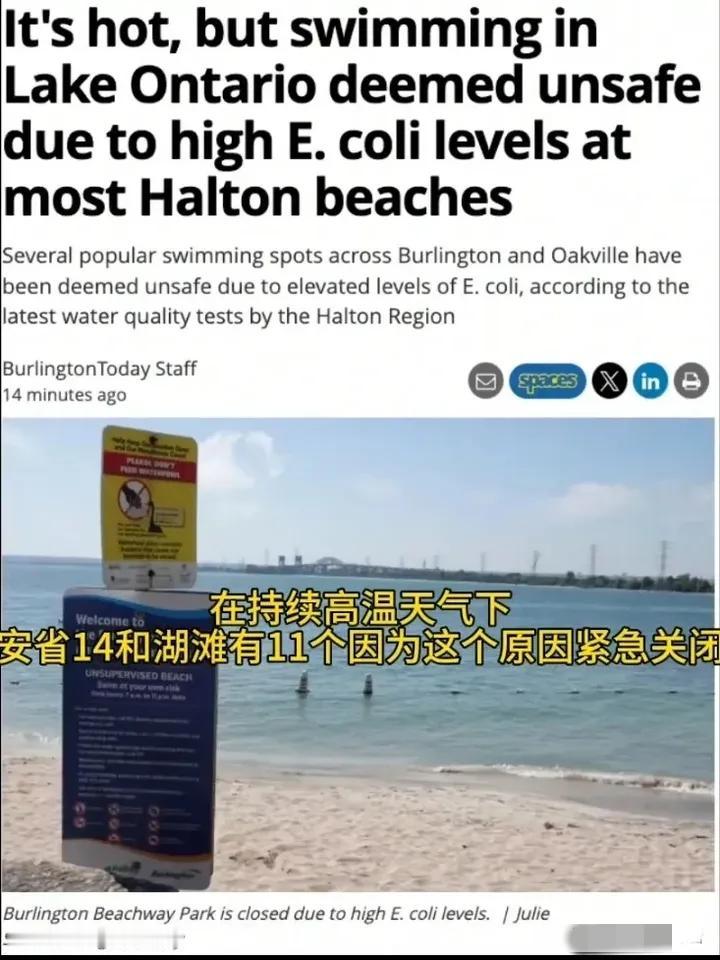 这个夏天，加拿大安大略省的居民，以及国内其他地方远道而来打算在此避暑的民众悲催了