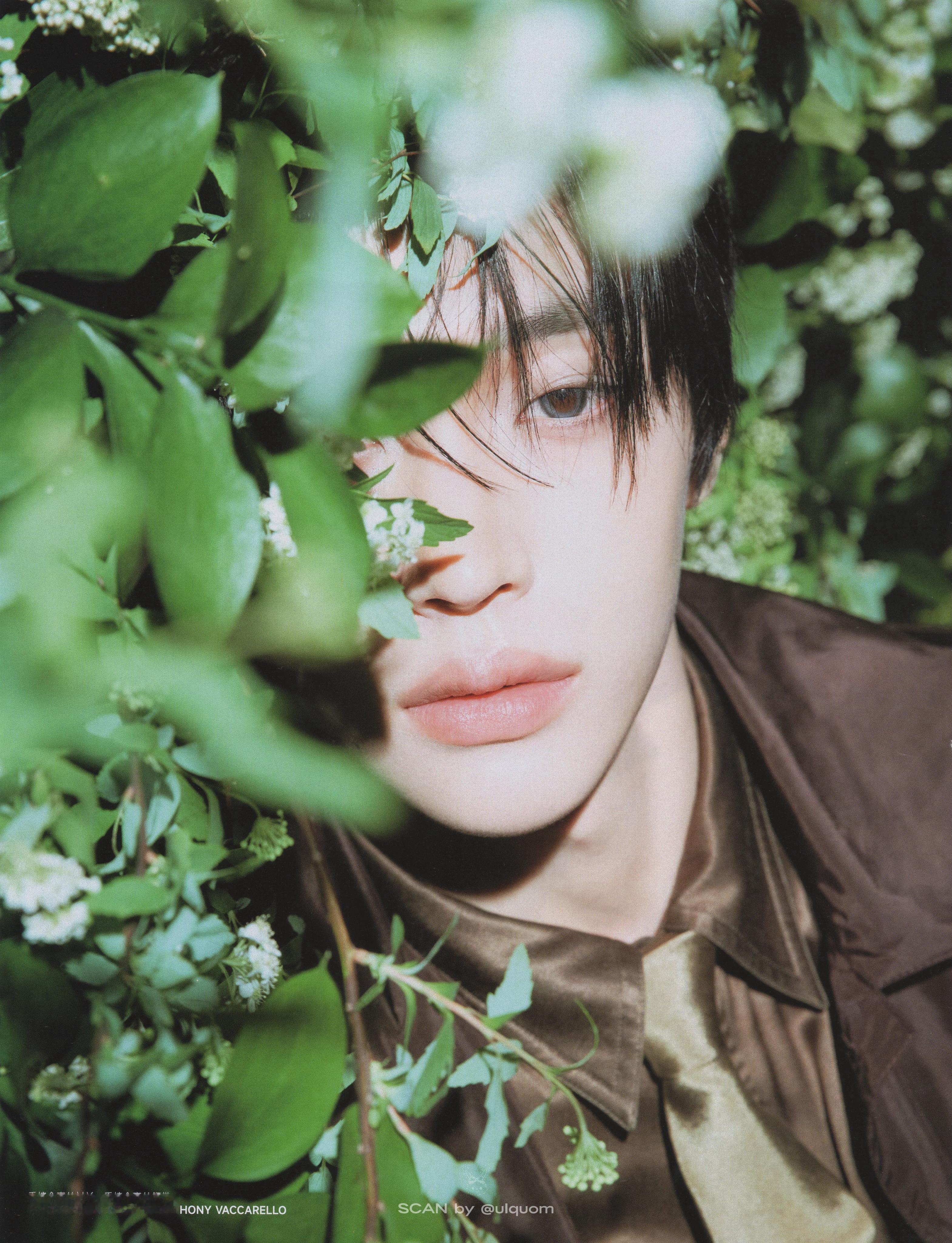 🍃 