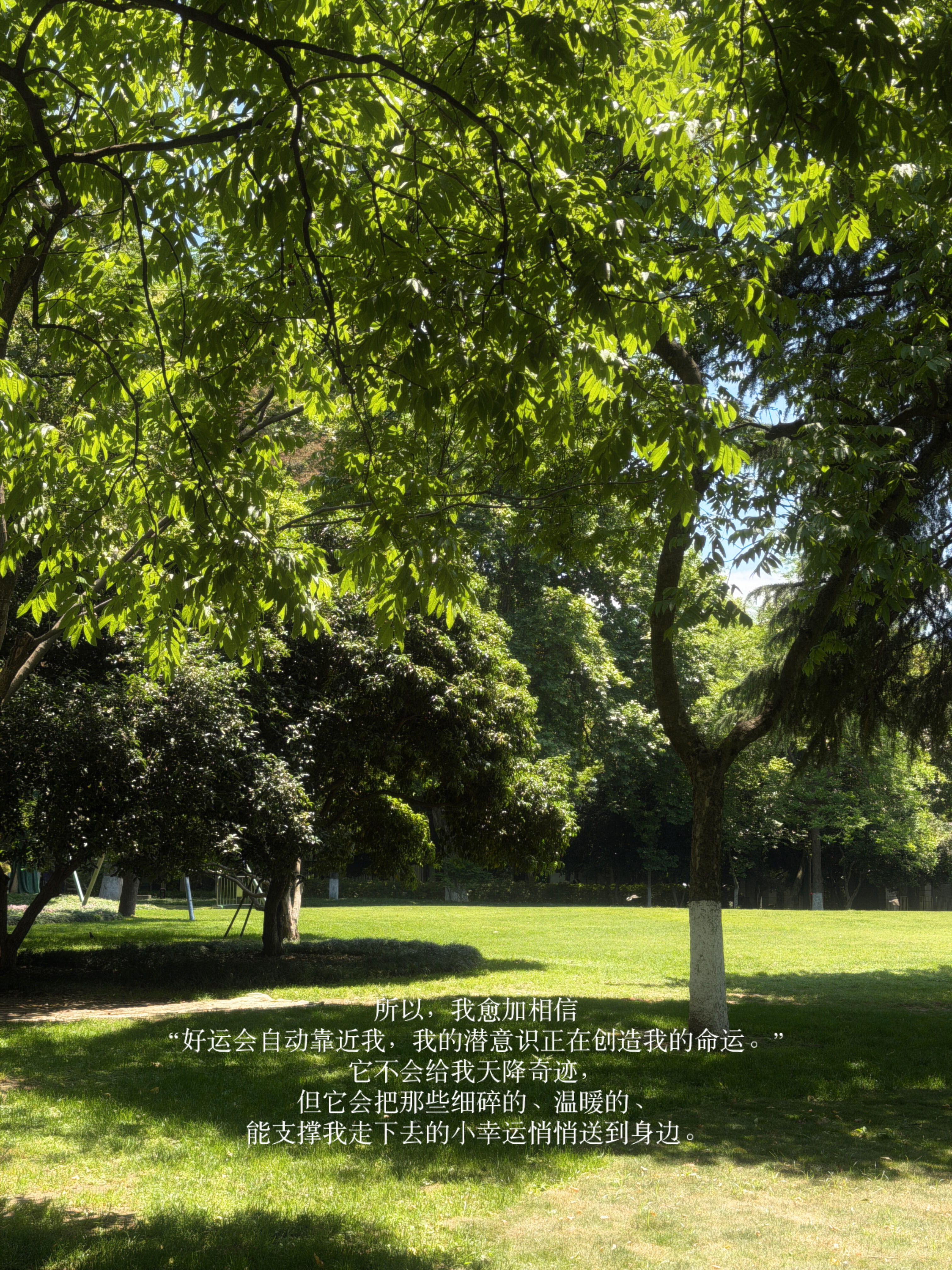 突然意识到：好运真的会自动靠近。 