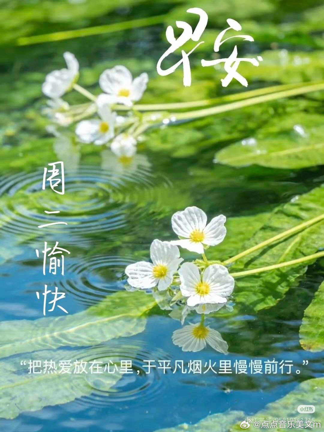 一堤烟柳万丝柔情 🌿💬 🔆 ☁️纵使前路漫漫，也要心向晴朗；纵使路途坎坷，
