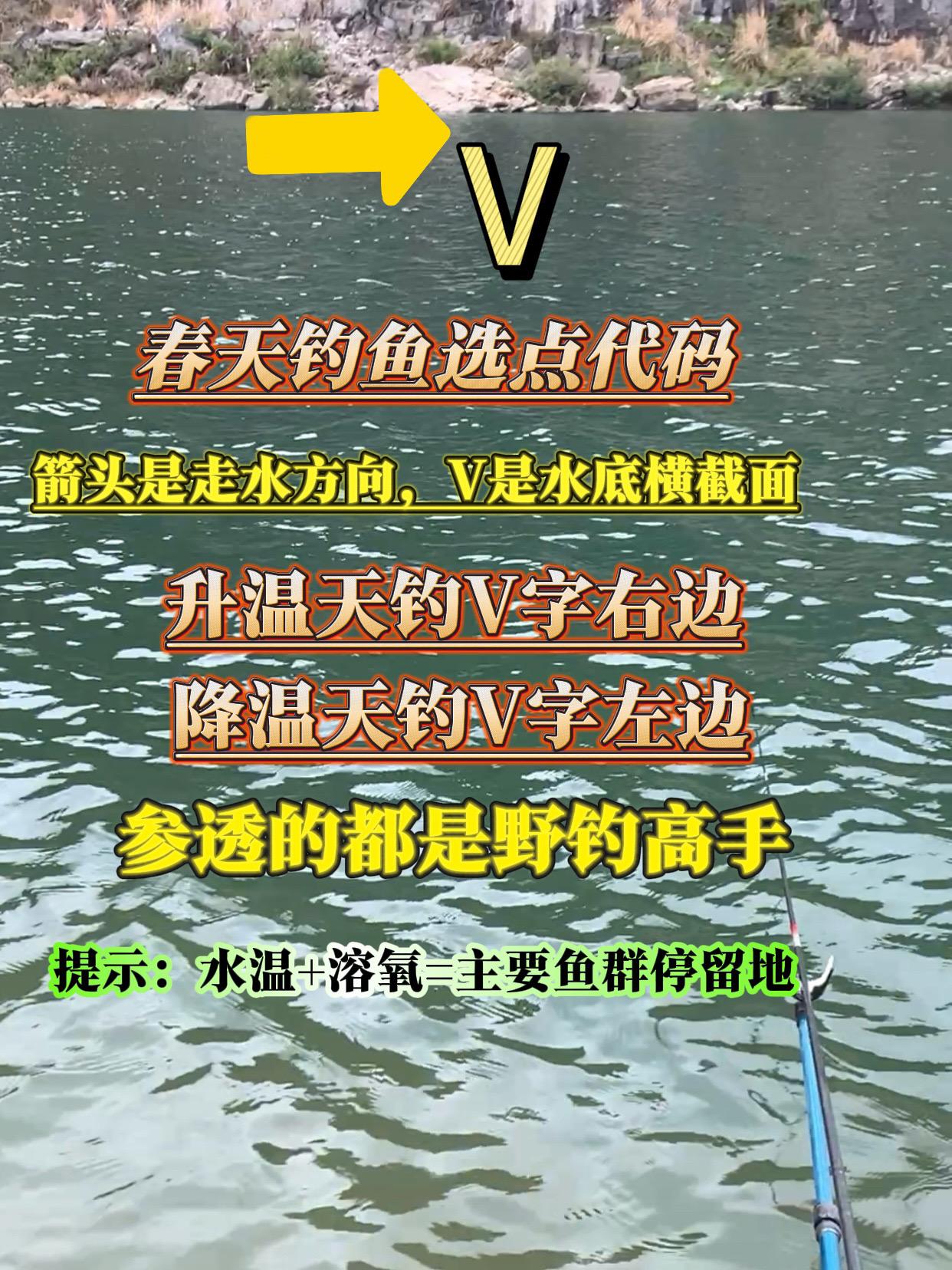 春天钓鱼选点代码。春天钓鱼选点技巧，画面感