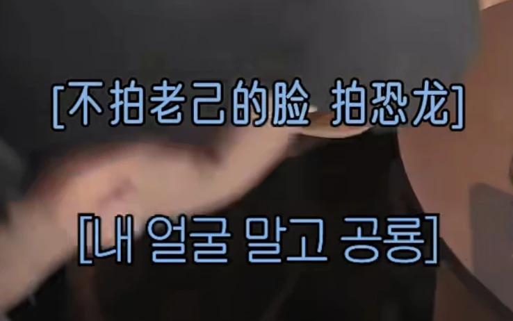 《老己》你们的翻译有点太入乡随俗了吧