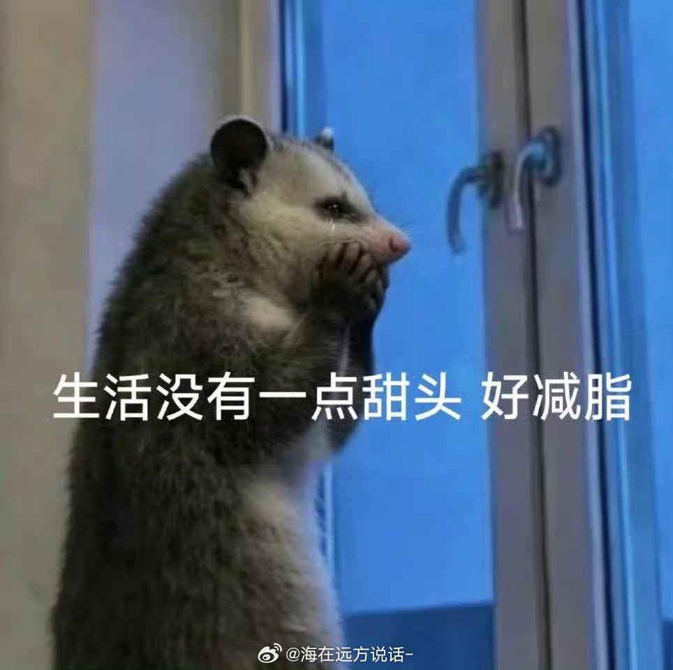 生活手记生活一地鸡毛 好蓬松 人生一波三折 好便宜。计划全部泡汤 好美味 心灵千