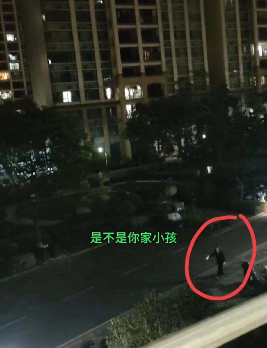 不知道是谁家的小孩打了她的狗，女子深更半夜在小区内拿着大喇叭大喊大叫为狗狗出气…