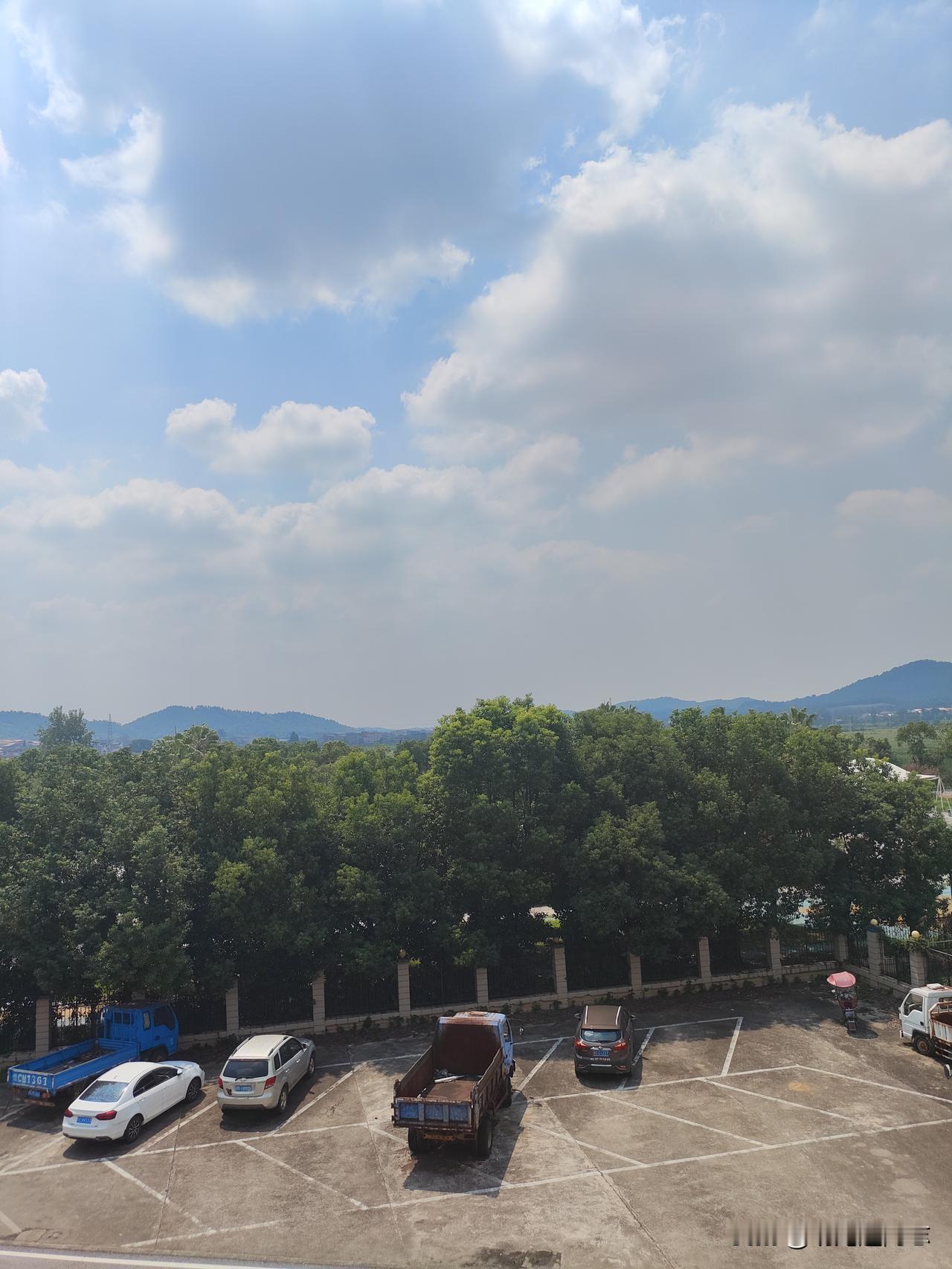 分享一张随手拍照片