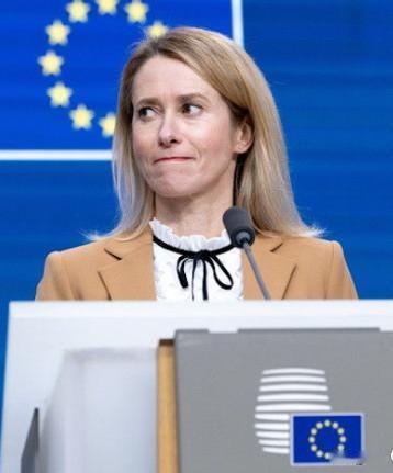 不可思议！欧盟为了实现自身目的，竟然恶意指责中国。
英国路透社等多家外媒报道，欧