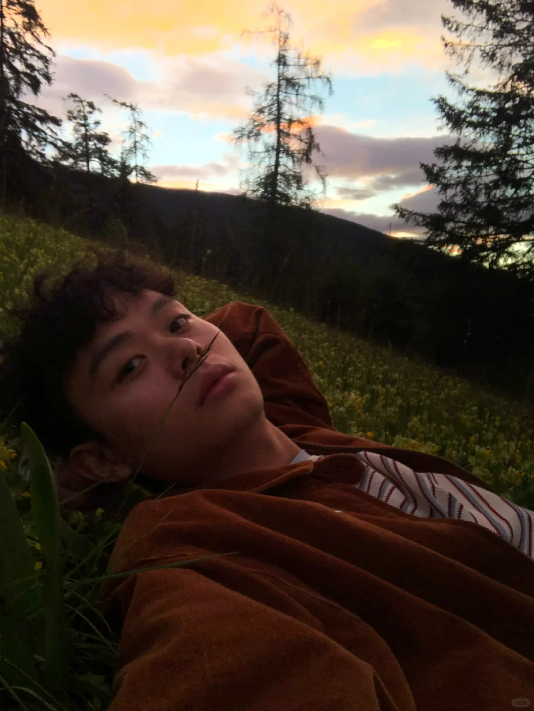 生命就应该浪费在这里