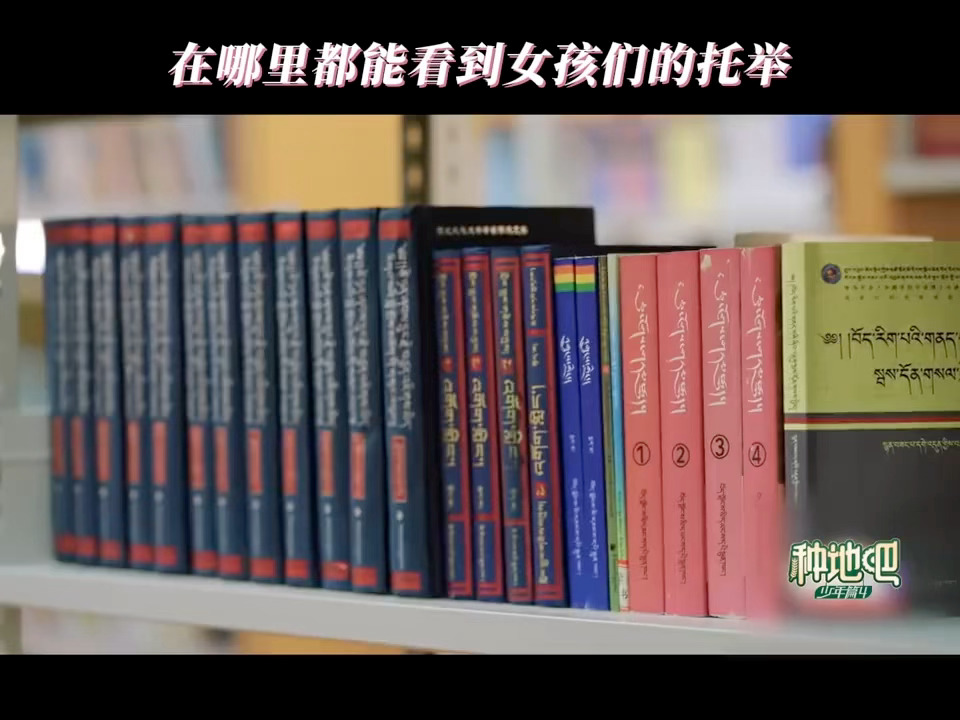 禾伙人在囊谦建了一座护花阁种地吧原来善意真的可以不断传递，护花阁不只是一间物资小