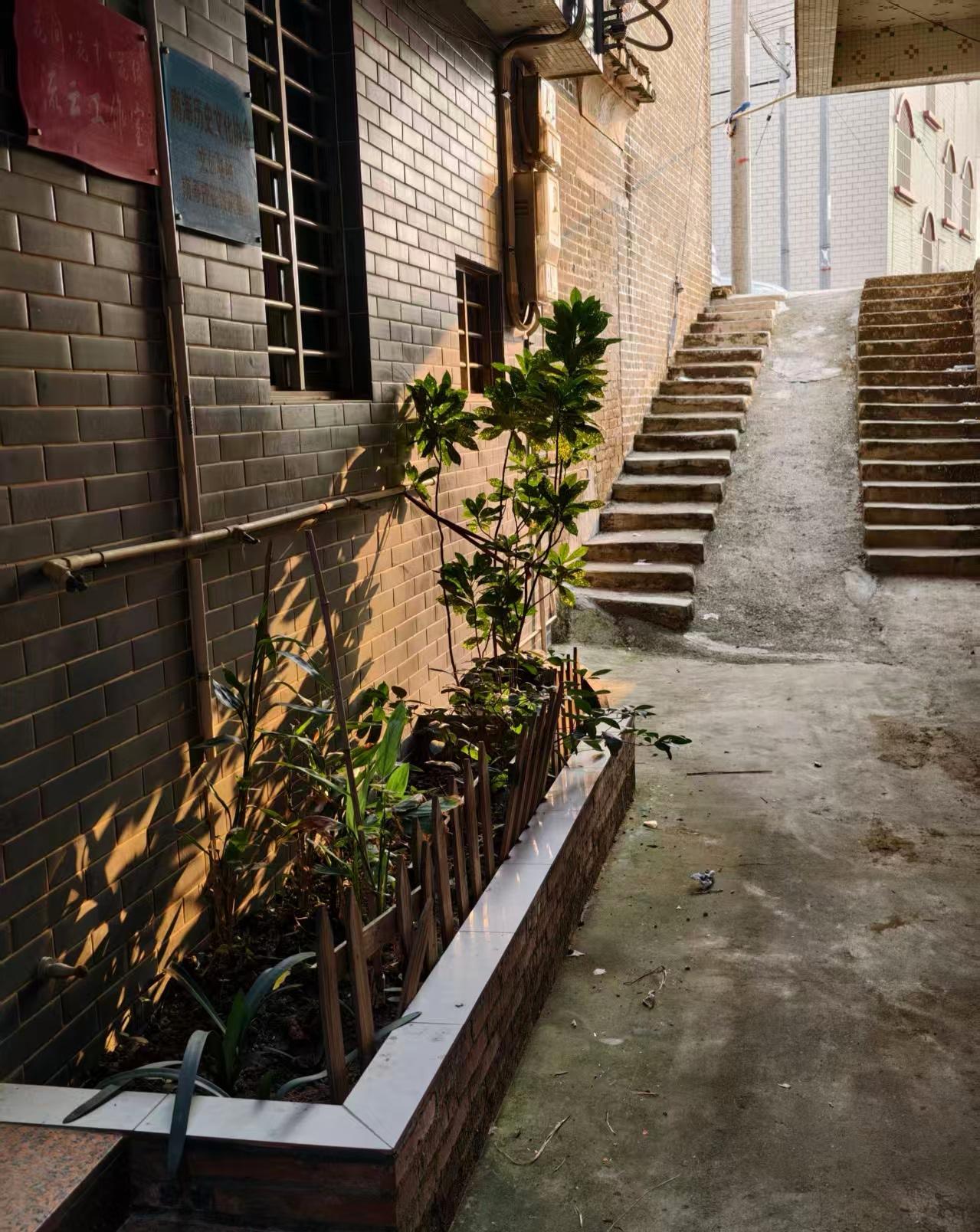 春日生活打卡季光影