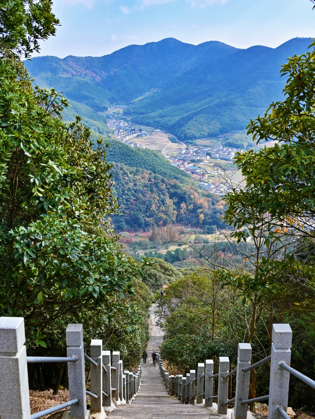 宁波0.5h禅意小森林，一起去山林吸氧吧❗️