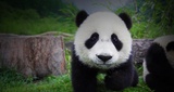 懒乎乎爱聚体育