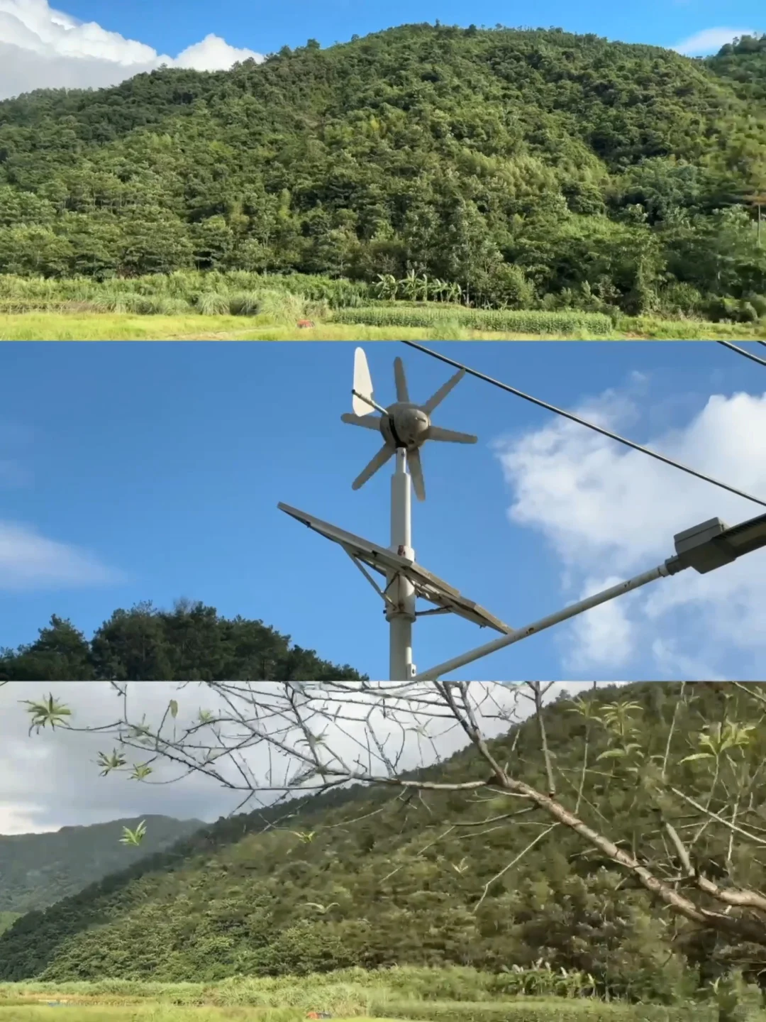 互联网股东们，咱三天内完成起垄开沟工作🥰