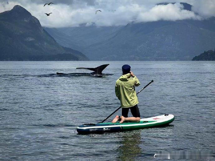 王一博悬崖跳水王一博晒花絮照 王一博《探索新境 2》高光时刻！挑战深水抱石，无保