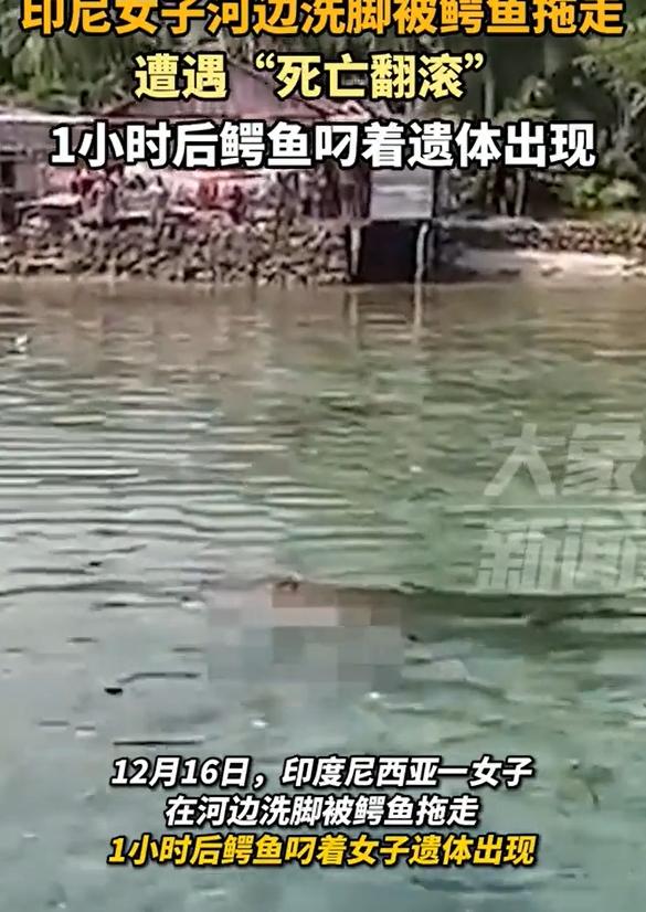 天降横祸，小心危险。近日一印尼女子海边洗脚遭鳄鱼拖入水中。

出门做事多小心，不